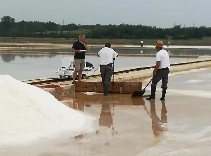 Antonella דירה *