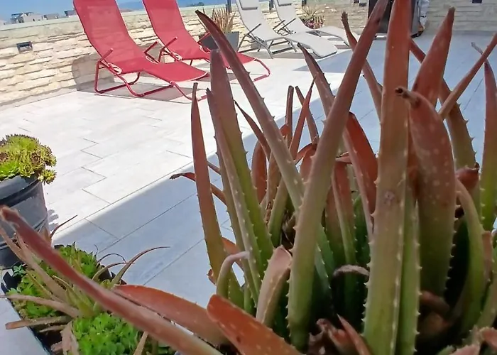 Antonella דירה נין